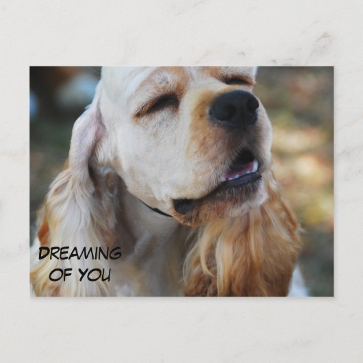 Cute Cocker Briefkaart (Voorkant)