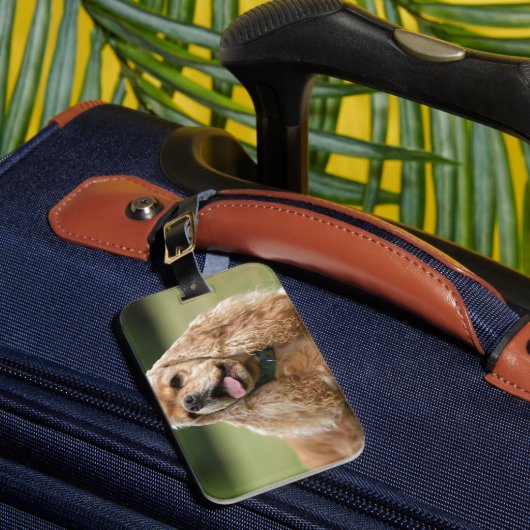 Cute Cocker Spaniel Bagagelabel (Voorkant Insitu 1)