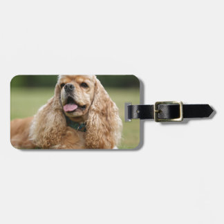 Cute Cocker Spaniel Bagagelabel