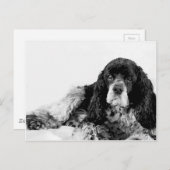 Cute Cocker Spaniel Briefkaart (Voorkant / Achterkant)