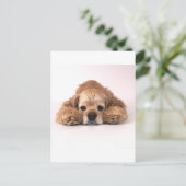 Cute Cocker Spaniel Briefkaart (Staand voorkant)