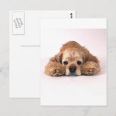 Cute Cocker Spaniel Briefkaart (Voorkant / Achterkant)
