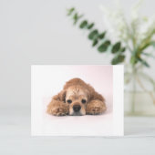 Cute Cocker Spaniel Briefkaart (Staand voorkant)