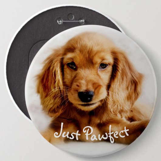 Cute Cocker Spaniel Dog Badge/Pin Ronde Button 6,0 Cm (Voorkant /achterkant)