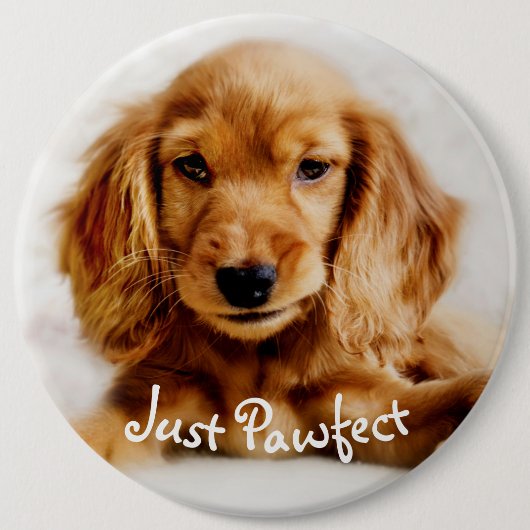 Cute Cocker Spaniel Dog Badge/Pin Ronde Button 6,0 Cm (Voorkant)