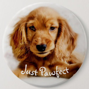 Cute Cocker Spaniel Dog Badge/Pin Ronde Button 6,0 Cm