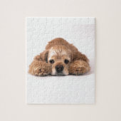 Cute Cocker Spaniel Legpuzzel (Verticaal)