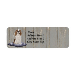 Cute Cocker Spaniel zit op een blauw kussen Etiket