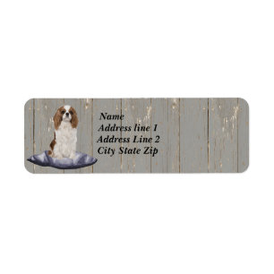 Cute Cocker Spaniel zit op een blauw kussen Etiket