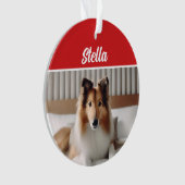Cute Collie Dog Holiday Kerstfoto Ornament (voorkant)