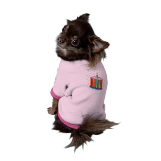 Cute Colorful Birthday Party Cake Shirt