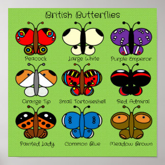Cute Colorful British Butterfly Poster
