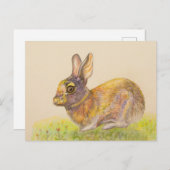 Cute colorful Bunny tekening Feestdagenkaart (Voorkant / Achterkant)