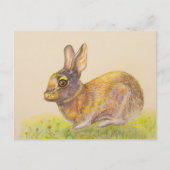 Cute colorful Bunny tekening Feestdagenkaart (Voorkant)