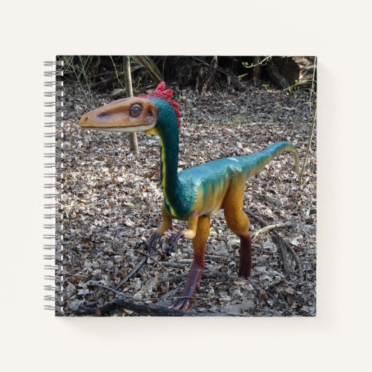 Cute Colorful Dinosaur Square Notitieboek (Voorkant)