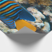 Cute Colorful Fish Cadeaupapier (Hoek)