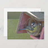 Cute Colorful Little Bird DIY Briefkaart (Voorkant / Achterkant)