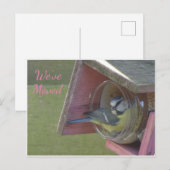 Cute Colorful Little Bird We hebben Briefkaart ver (Voorkant / Achterkant)