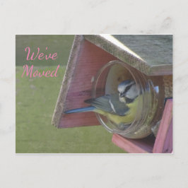 Cute Colorful Little Bird We hebben Briefkaart ver