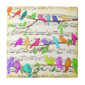 Cute Colorful Musical Birds Symphony - Happy Song Tegeltje (Voorkant)