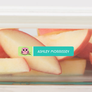 Cute Colorful Owl Kinder Name Labels