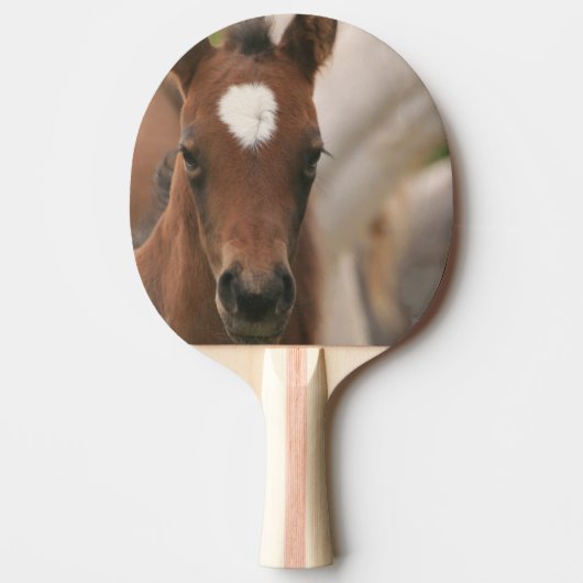 Cute Colt Tafeltennisbatje (Voorkant)