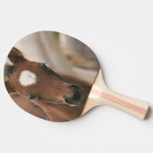 Cute Colt Tafeltennisbatje (Zijkant)