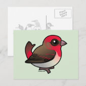 Cute Common Rosefinch Briefkaart (Voorkant / Achterkant)