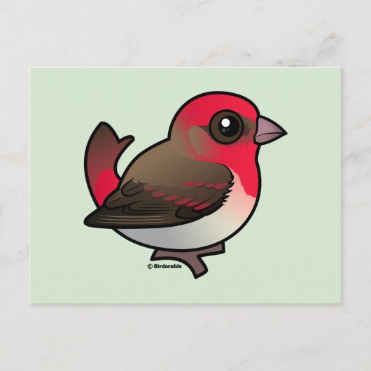 Cute Common Rosefinch Briefkaart (Voorkant)