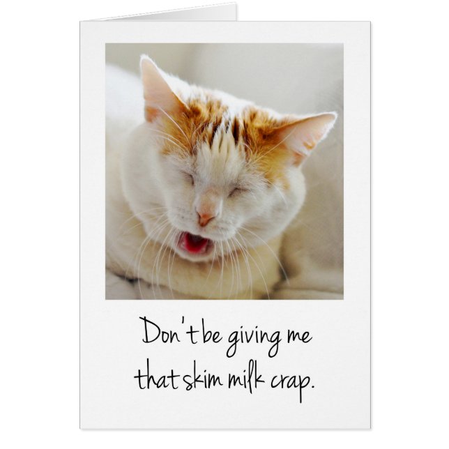 Cute Complaining Cat (Voorkant)