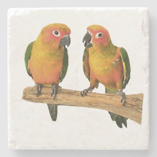 Cute Conure Onderzetters (Voorkant)