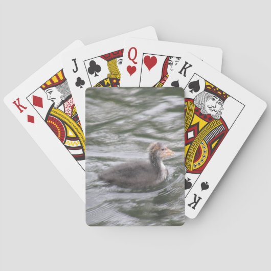 Cute Coot Chick op Choppy Waters die kaarten afspe (Achterkant)
