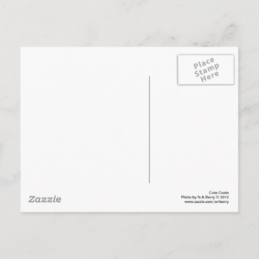 Cute Coots Briefkaart (Achterkant)