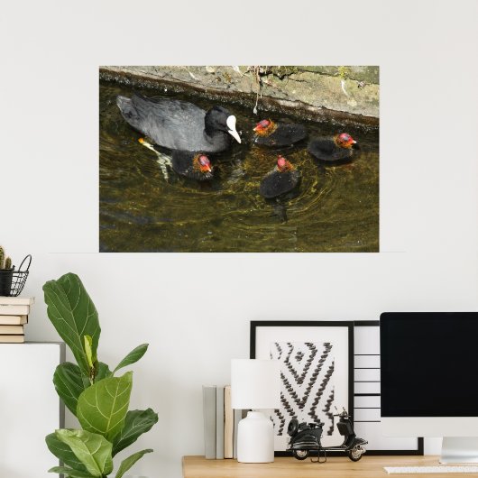 Cute Coots Poster (Thuiskantoor)