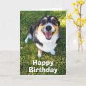 Cute Corgi Birthday Kaart (Gele Bloem)