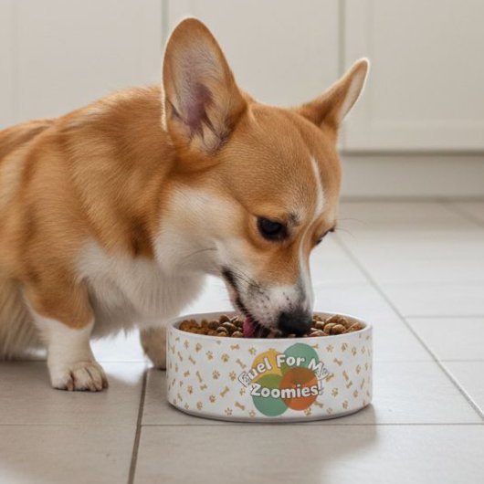 Cute Corgi Dog Bowls | Funny Pattern  Voerbakje