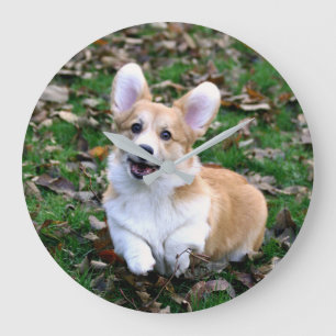 Cute Corgi Dog Leaping Grote Klok
