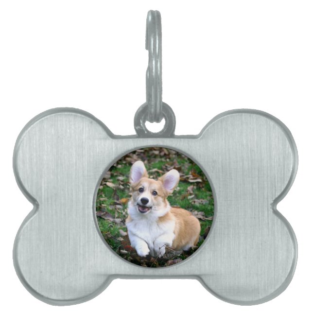 Cute Corgi Dog Leaping Huisdieren Naamplaatje (voorkant)