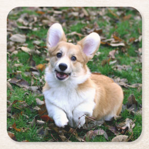 Cute Corgi Dog Leaping Kartonnen Onderzetters