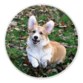 Cute Corgi Dog Leaping Keramische Knop (Voorkant)