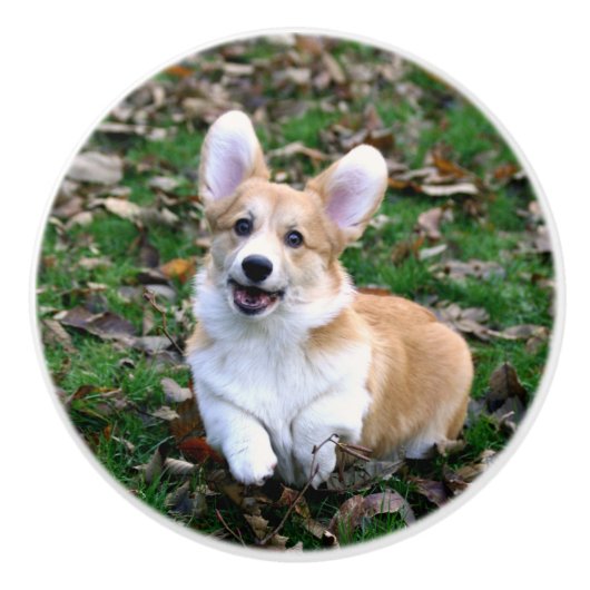 Cute Corgi Dog Leaping Keramische Knop (Voorkant)
