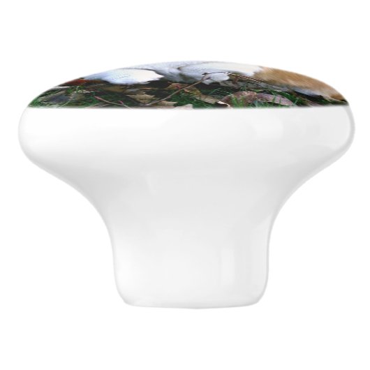 Cute Corgi Dog Leaping Keramische Knop (Zijkant)