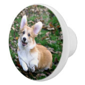 Cute Corgi Dog Leaping Keramische Knop (Rechts)