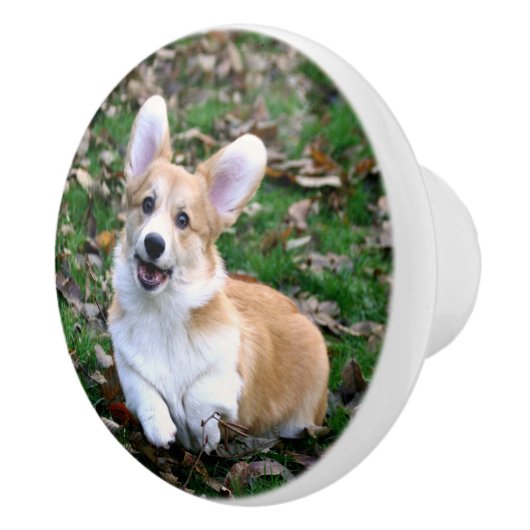 Cute Corgi Dog Leaping Keramische Knop (Rechts)