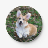 Cute Corgi Dog Leaping Papieren Bordje (Voorkant)