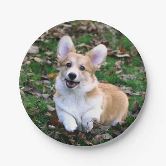Cute Corgi Dog Leaping Papieren Bordje (Voorkant)
