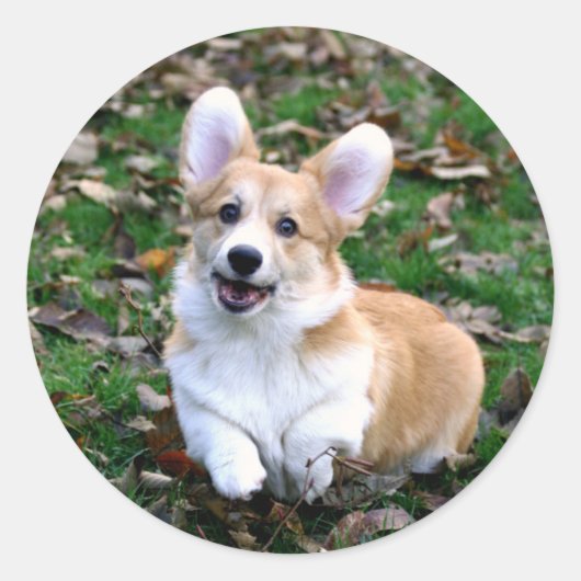 Cute Corgi Dog Leaping Ronde Sticker (Voorkant)