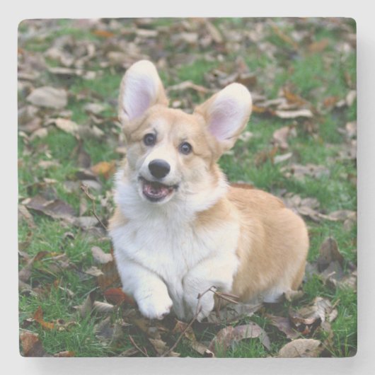 Cute Corgi Dog Leaping Stenen Onderzetter (Voorkant)