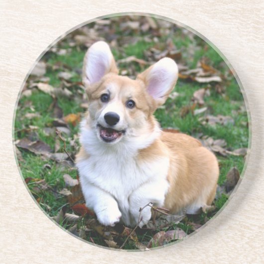 Cute Corgi Dog Leaping Zandsteen Onderzetter (Voorkant)