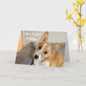Cute Corgi Foto Funny Dog Lover Birthday Kaart (Gele Bloem)